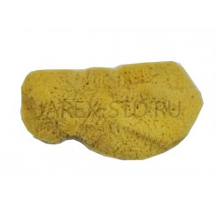Губка антиминсная, натуральная морская, Греция; 5 см..Арт.ГА-5.08