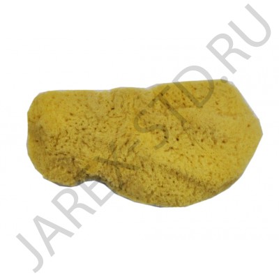 Губка антиминсная, натуральная морская, Греция; 5 см..Арт.ГА-5.08
